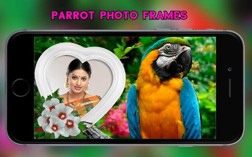 Parrot Photo Frames 6 تصوير الشاشة
