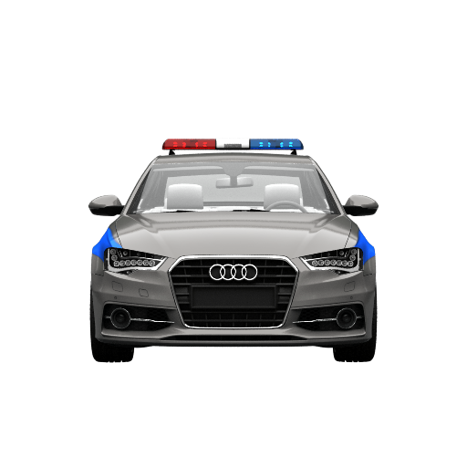 Swedish Driving License icon