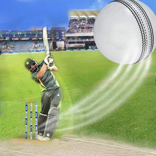 PSL Slider Puzzle Cricket game 2020 1.1