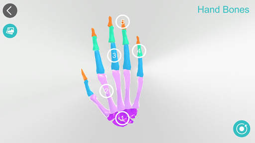 Anatomy 3D screenshot 9