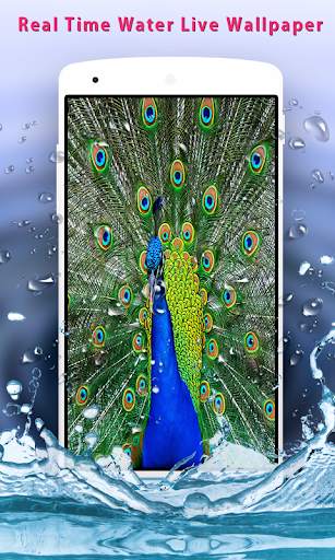 Peacock Feather Live Wallpaper screenshot 5