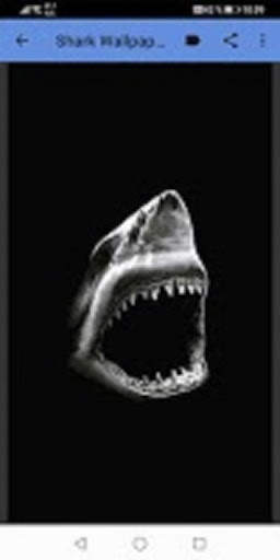 Shark Wallpapers स्क्रीनशॉट 2