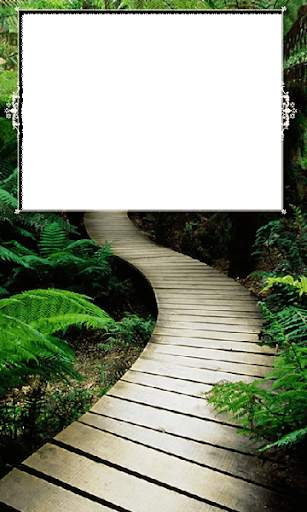 Nature Photo Frames HD screenshot 12