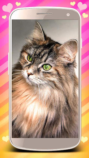 Cute cats live wallpaper. Cute dogs, unicorns screenshot 2