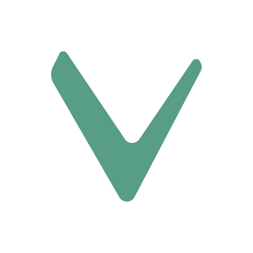 Vigo insurance icon