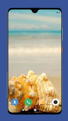 Seashell Wallpaper HD screenshot 8