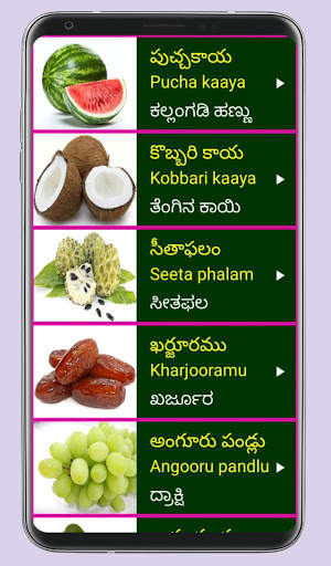 Learn Telugu From Kannada screenshot 7