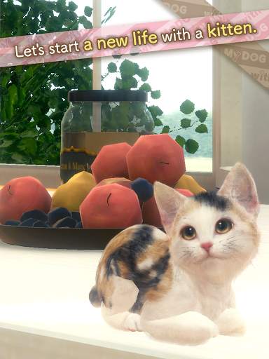 with My CAT screenshot 9