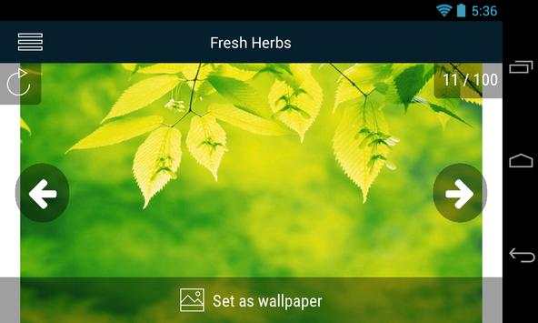 Fresh Herbs Wallpapers screenshot 2