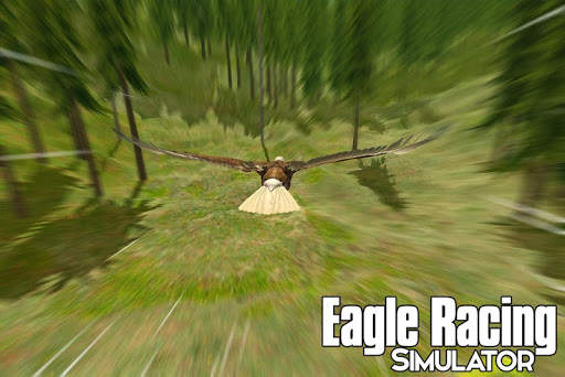 Eagle Racing Simulator: Animal Race Game screenshot 8