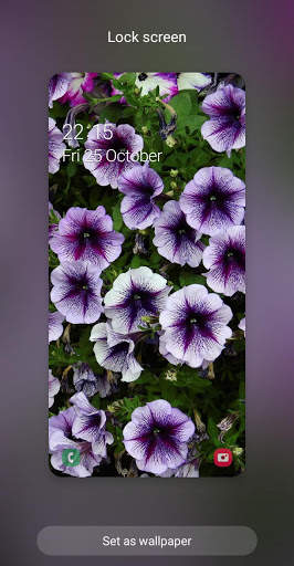 Flowers Wallpaper screenshot 5