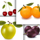 Memory Wars - Fruits icon
