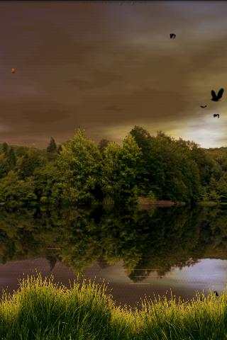 Forest Lake Live Wallpaper screenshot 6