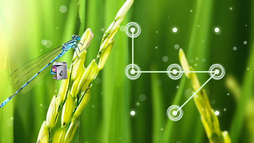 AppLock Live Theme Paddy – Paid Theme screenshot 4