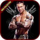 Randy Orton Wallpapers HD 4K 1.0