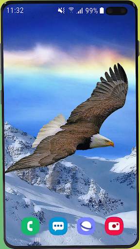 Eagle Wallpaper Best HD screenshot 6
