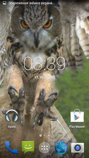 Flying Owl Live Wallpaper screenshot 4