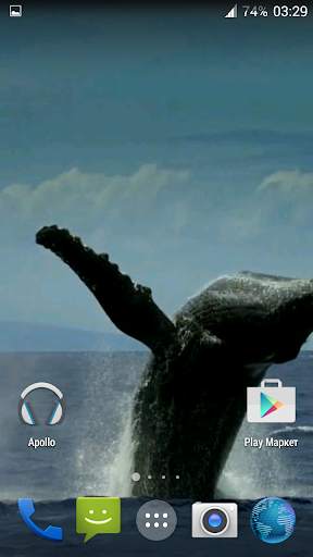 Whale 3D. Video wallpaper screenshot 1