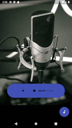 Audio Player screenshot 1