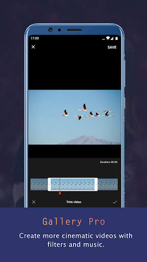 Photo Video Gallery With Album screenshot 4