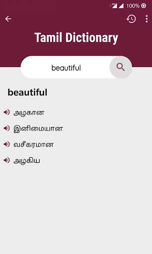 tamil to english translation screenshot 4