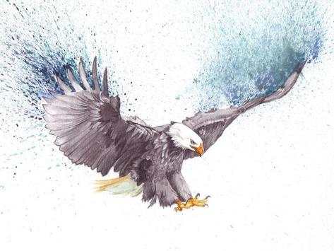 Eagle Wallpapers screenshot 7