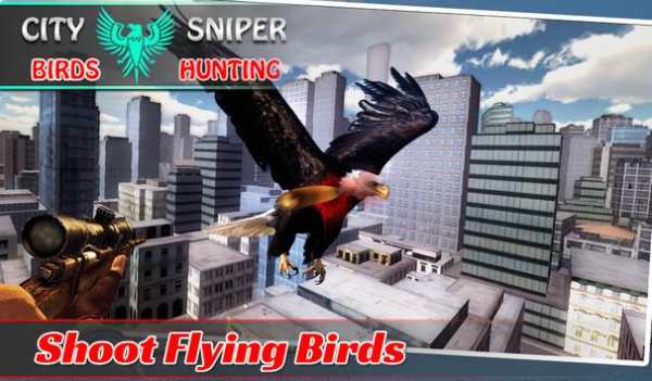 City Sniper Birds Hunting screenshot 4