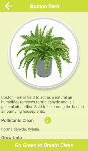 Air Cleaning Plants screenshot 2