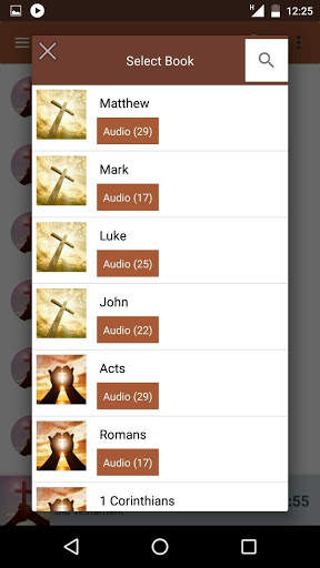 Bible Audio, NIV screenshot 7