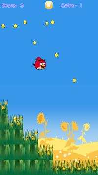 Bird Summer Ballad Love screenshot 7