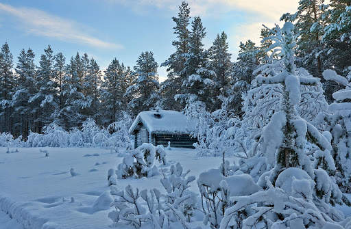 Winter Wallpapers | hd backgrounds screenshot 10
