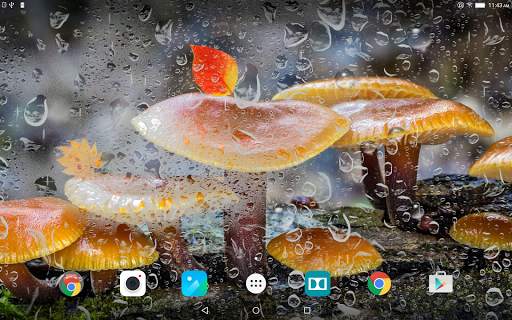 Mushrooms Live Wallpaper screenshot 9