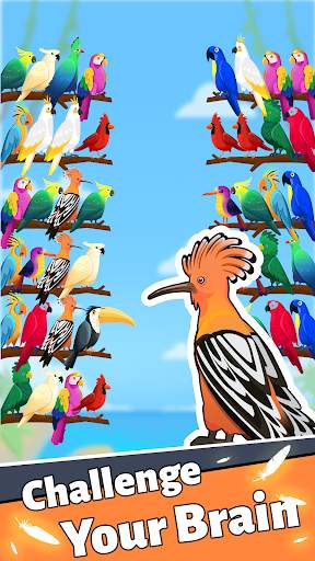 Bird Puzzle - Sorting Offline screenshot 4