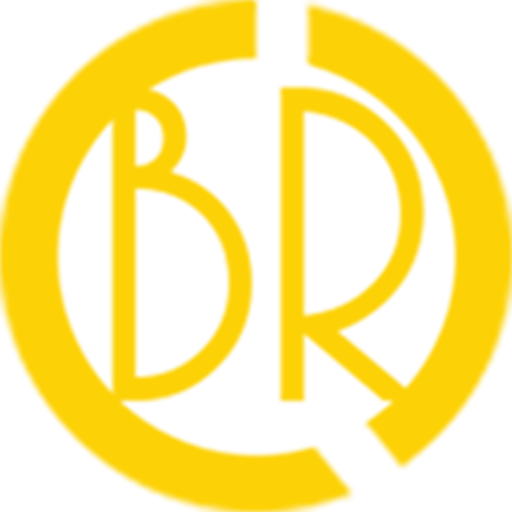 BR Drivers icon