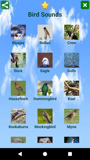 Bird Sounds 1 تصوير الشاشة