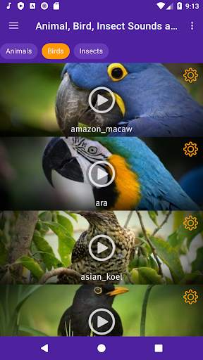 Animal, Bird, Insect Sounds and Ringtones screenshot 5