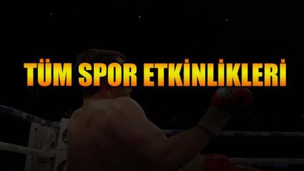 Daily SPORT screenshot 2