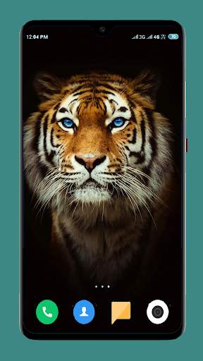 Wild Animal Wallpaper 4K 9 تصوير الشاشة