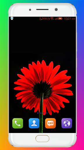 Flower Wallpaper HD screenshot 9