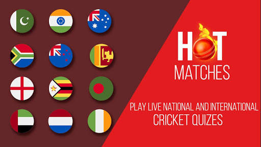 Real Cricket championship big bash mind game 2017 screenshot 2