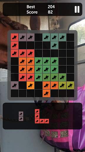 Horse Blocks - Puzzle Games screenshot 2