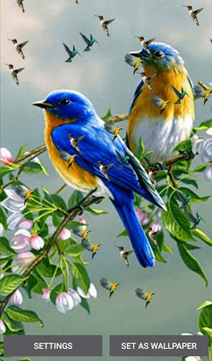Birds And Animals Live Wallpapers screenshot 2