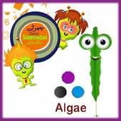 CSD - Algae icon