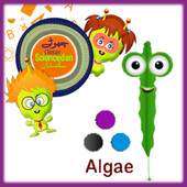 CSD - Algae 1