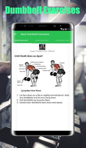 Dumbbell Exercises Free screenshot 5