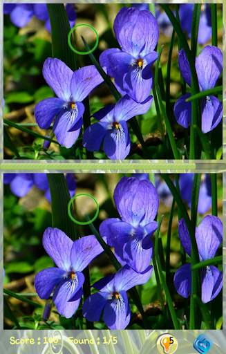 Find Differences Level 8 screenshot 3