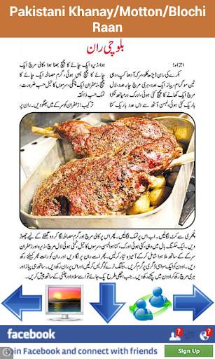 Pakistani Khanay screenshot 7