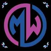 Merger Webmail 1.0