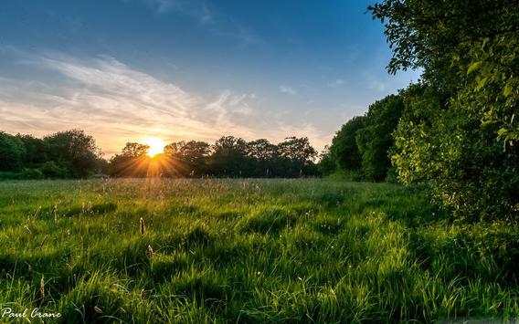 Nature Wallpapers screenshot 3