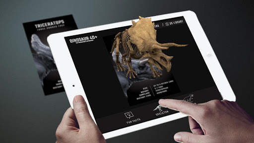 Dinosaur 4D  screenshot 17